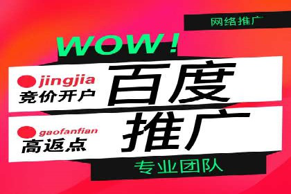 解析SEM竞价代运营的成功要素及案例